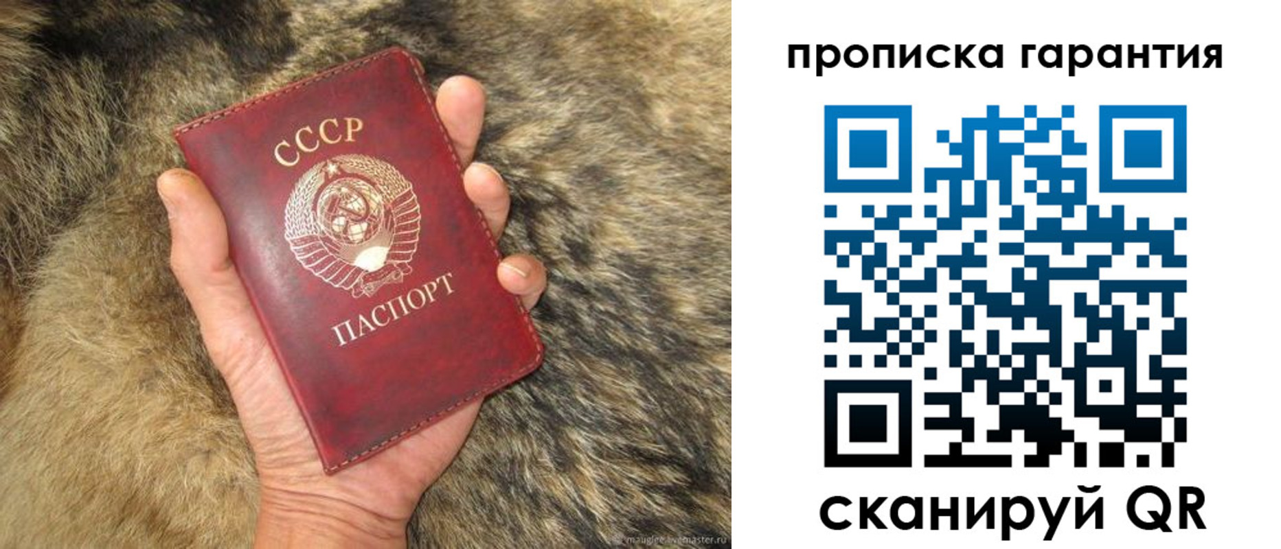 прописка паспорт в Ростовской области